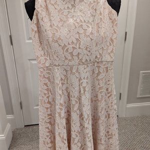 Gorgeous Dusty Rose Lace Dress XXS